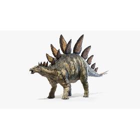 3D model Stegosaurus